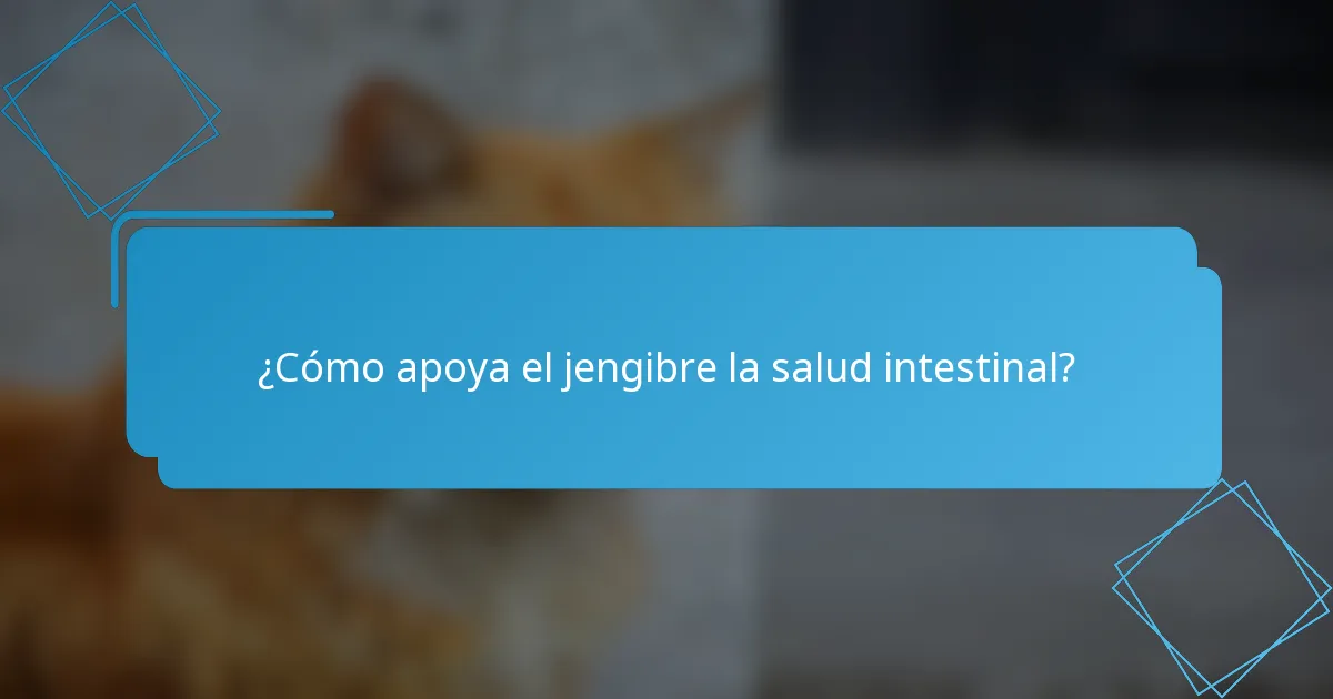 ¿Cómo apoya el jengibre la salud intestinal?