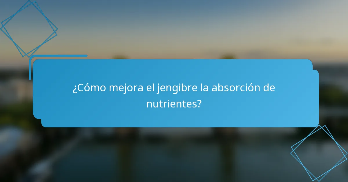 ¿Cómo mejora el jengibre la absorción de nutrientes?