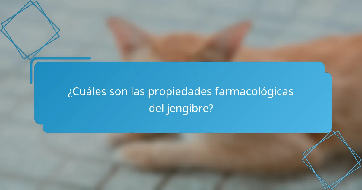¿Cuáles son las propiedades farmacológicas del jengibre?