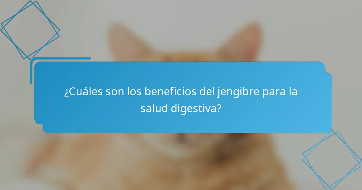 ¿Cuáles son los beneficios del jengibre para la salud digestiva?