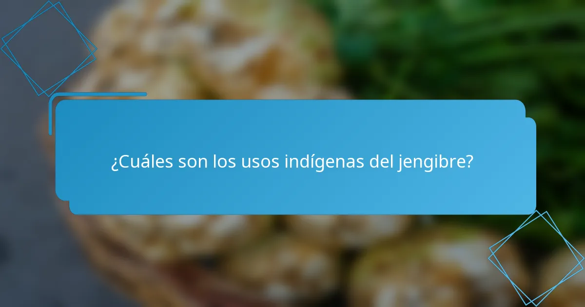 ¿Cuáles son los usos indígenas del jengibre?