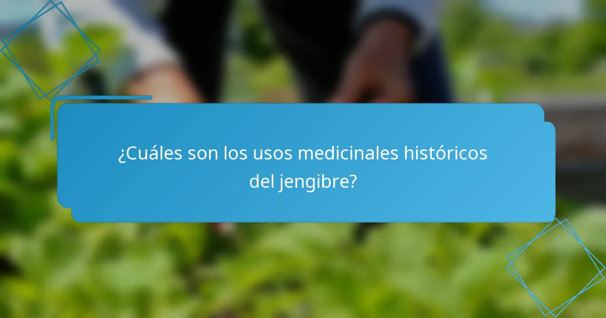 ¿Cuáles son los usos medicinales históricos del jengibre?
