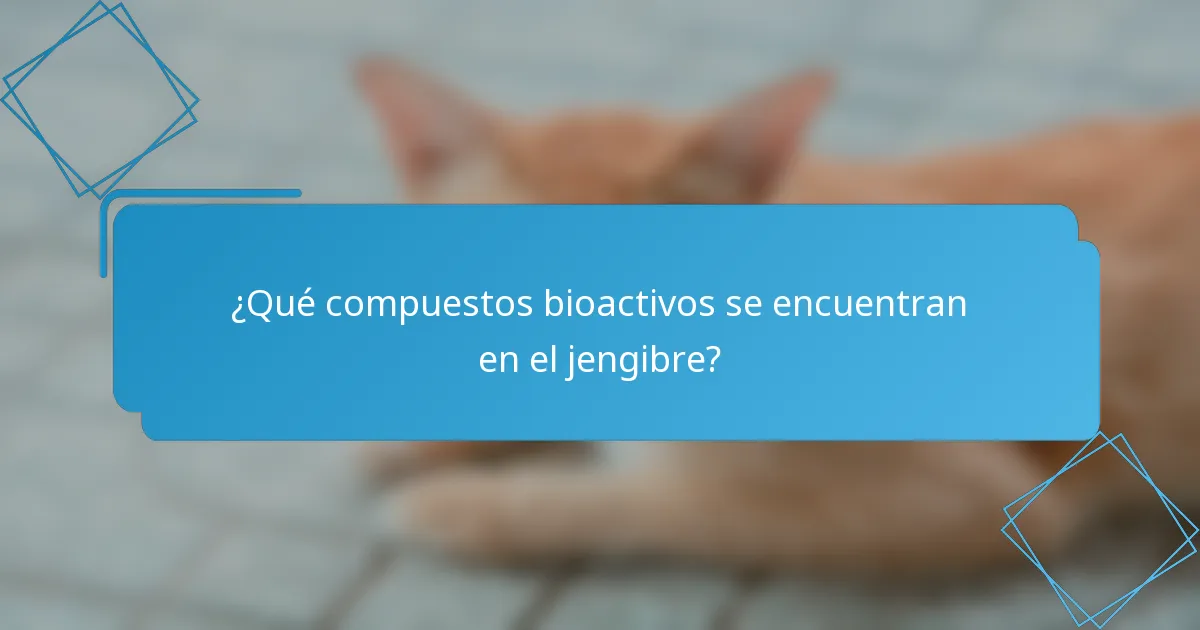 ¿Qué compuestos bioactivos se encuentran en el jengibre?