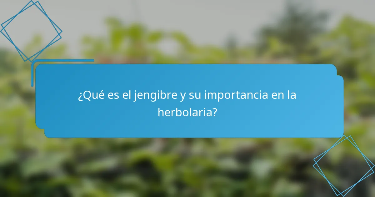 ¿Qué es el jengibre y su importancia en la herbolaria?