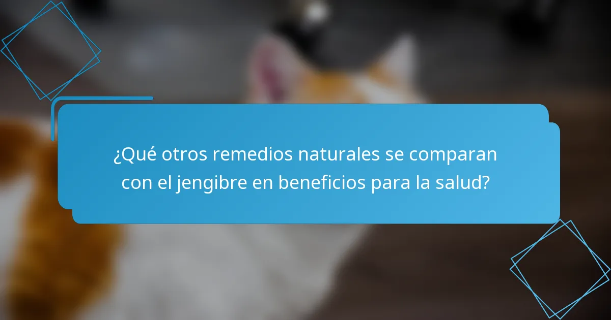 ¿Qué otros remedios naturales se comparan con el jengibre en beneficios para la salud?